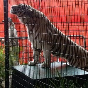 Meet your Posher, Hector